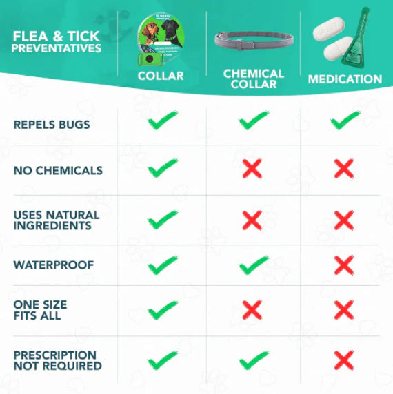 ⏰Last Day 72% OFF-🐕🐈12 Months Flea and Tick Free