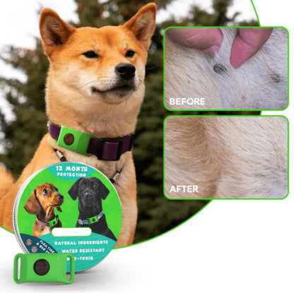 ⏰Last Day 72% OFF-🐕🐈12 Months Flea and Tick Free