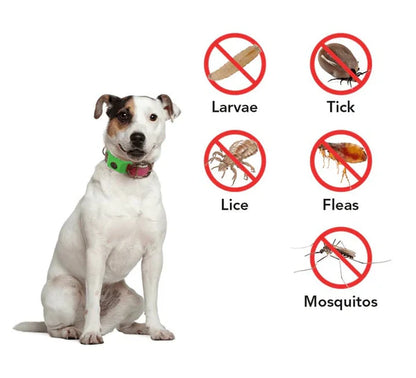 ⏰Last Day 72% OFF-🐕🐈12 Months Flea and Tick Free