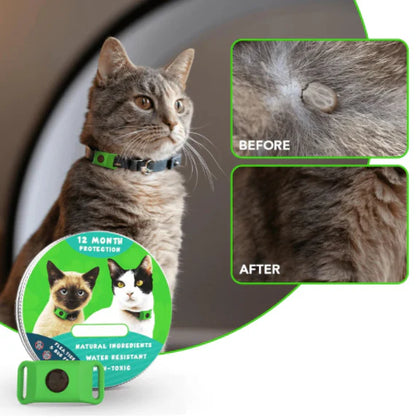 ⏰Last Day 72% OFF-🐕🐈12 Months Flea and Tick Free