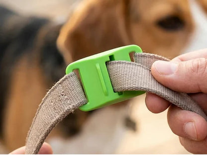 ⏰Last Day 72% OFF-🐕🐈12 Months Flea and Tick Free
