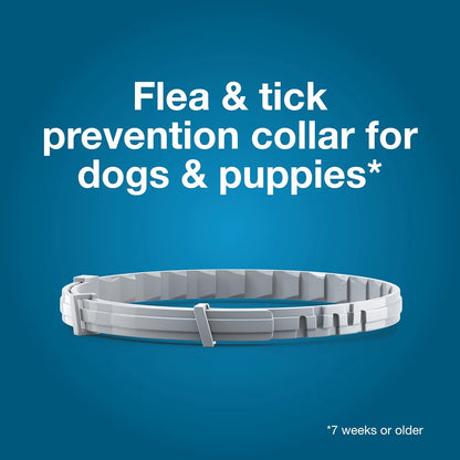 Summer Sale Seresto Flea and Tick Collar for Cats and Dogs Treatment & Prevention, Vet-Recommend, 8 Month Protection