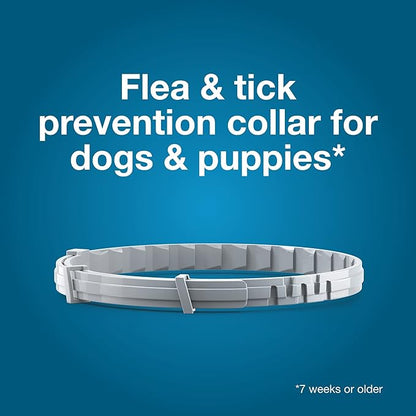 Summer Sale Seresto Flea and Tick Collar for Cats and Dogs Treatment & Prevention, Vet-Recommend, 8 Month Protection
