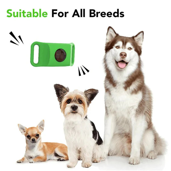 ⏰Last Day 72% OFF-🐕🐈12 Months Flea and Tick Free