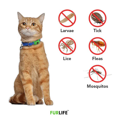 ⏰Last Day 72% OFF-🐕🐈12 Months Flea and Tick Free